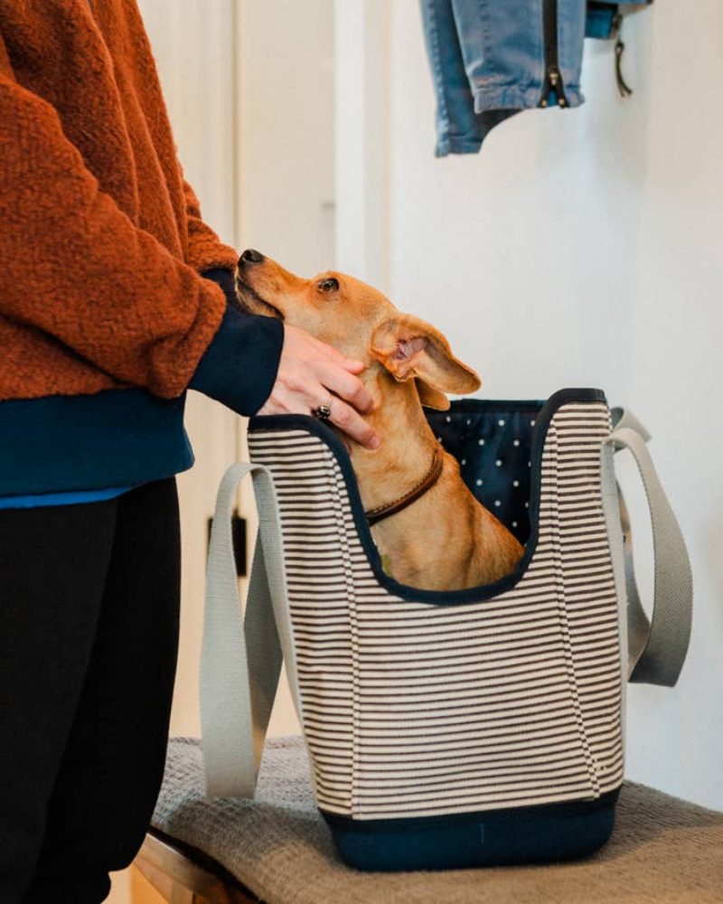 Navy Striped Canvas Dog Carrier (FINAL SALE) Carry LEFT PINE   