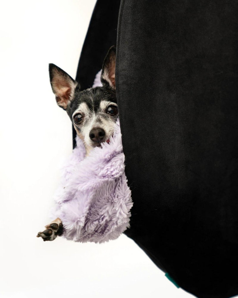 The SNUGGIT Crossbody Dog Sling in Clairence Black Carry THE SNUGGIT COMPANY   