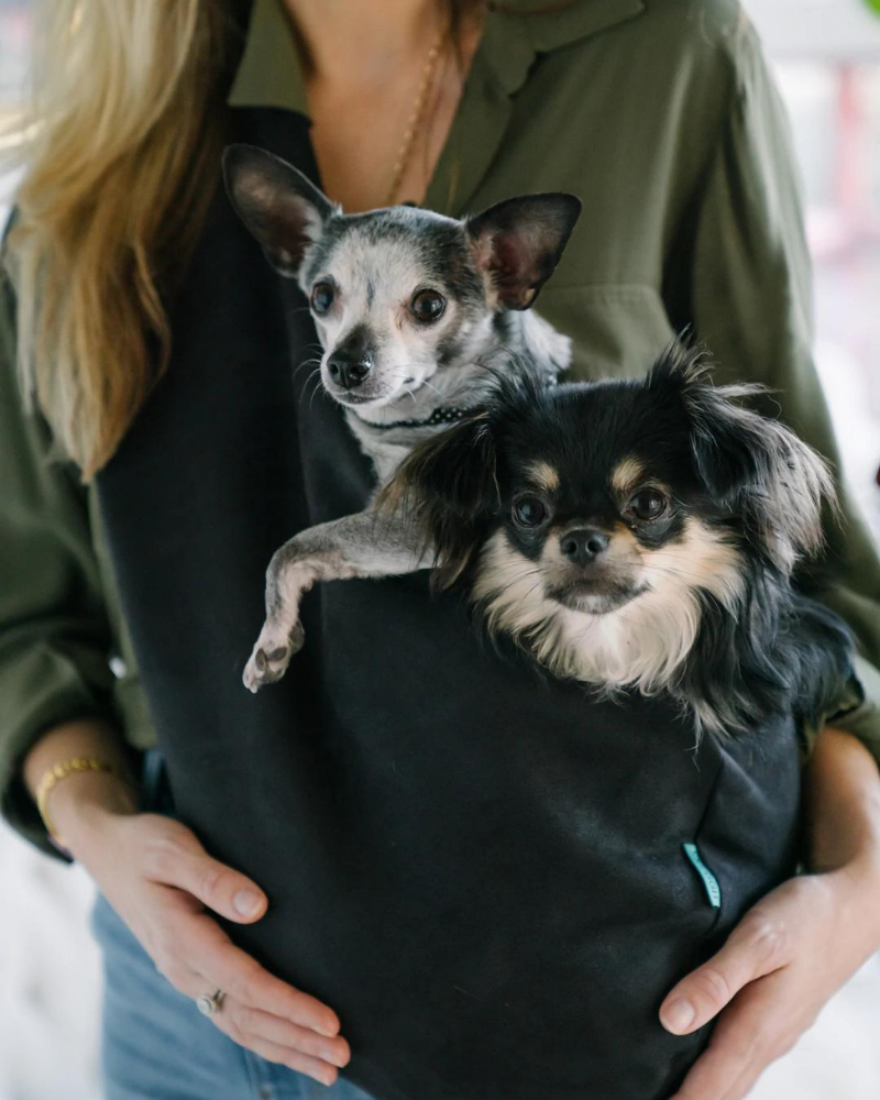 The SNUGGIT Plus+ Crossbody Dog Sling in Clairence Black Carry THE SNUGGIT COMPANY   