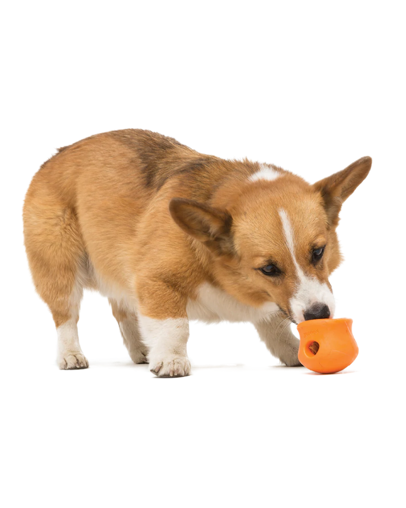 Toppl® Interactive Treat Puzzle Dog Toy (Made in the USA) (FINAL SALE) Play WEST PAW   