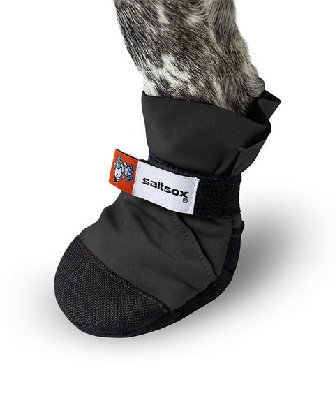 52_480x.png?v=1610582828