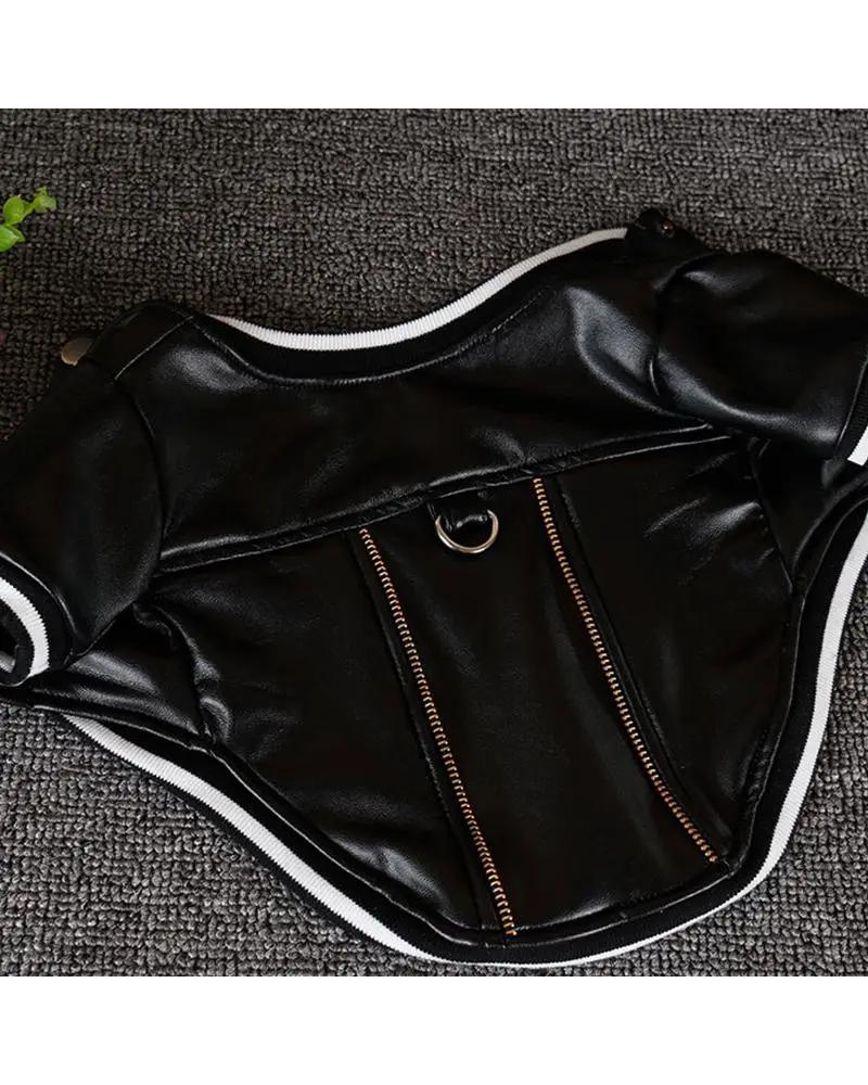 Very Varsity Faux Leather Dog Jacket with D-Ring (FINAL SALE) Wear PET CIRCLE   