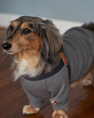 Adventure Sweatshirt in Charcoal (FINAL SALE) Dog Apparel HOWLPOT   