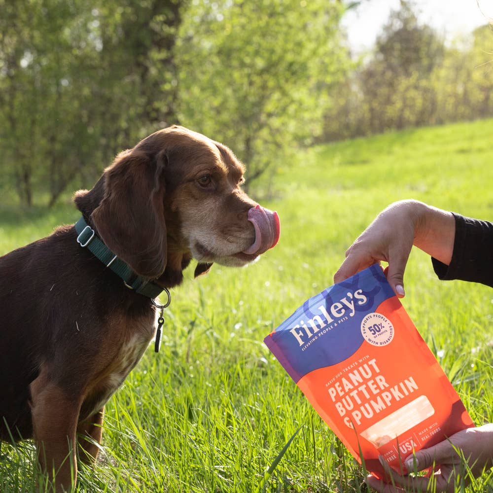 Peanut Butter & Pumpkin Crunchy Dog Biscuits Eat FINLEY'S BARKERY   