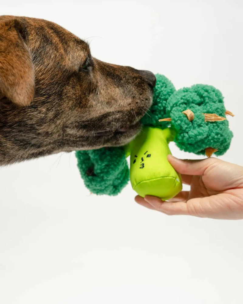Broccoli Nosework Dog Toy Play THE FURRY FOLKS   