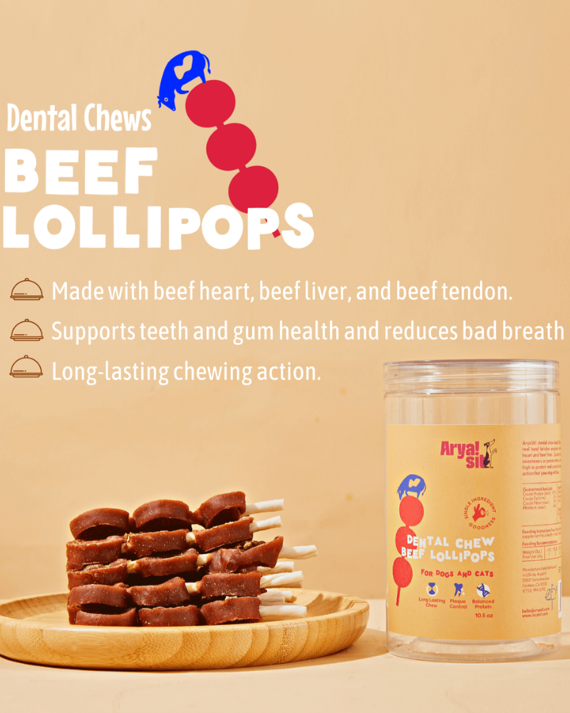 Dental Chew Beef Lollipop Treats For Dogs & Cats Eat ARYA SIT   