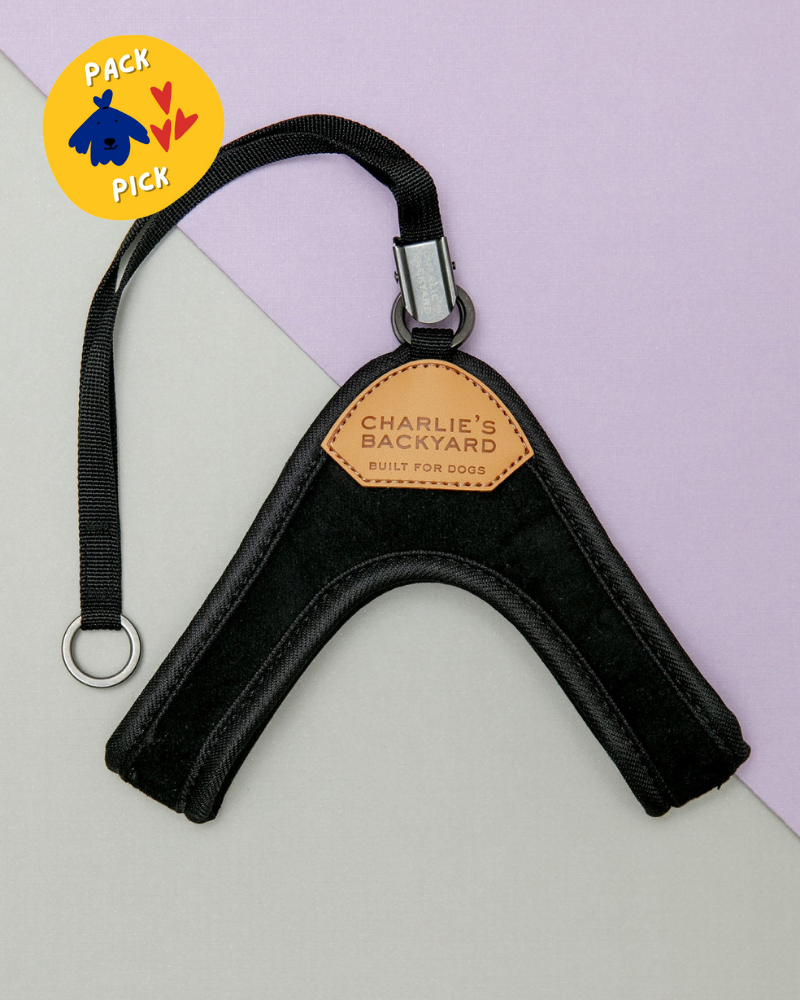 Adjustable Easy Dog Harness in Black WALK CHARLIE'S BACKYARD   