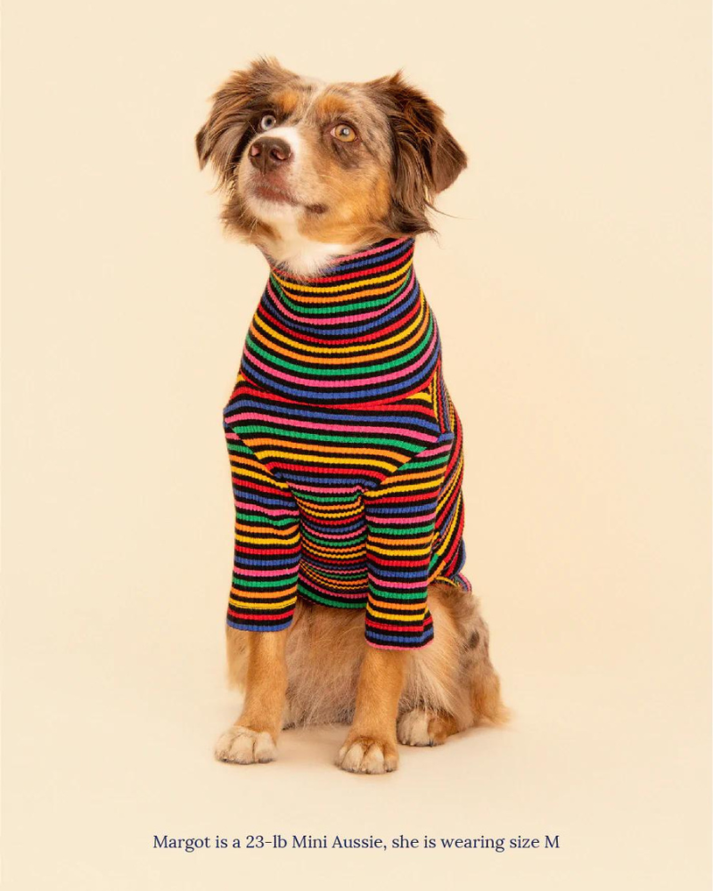 Fantastic Ribbed Dog Pullover (FINAL SALE) Wear LITTLE BEAST   