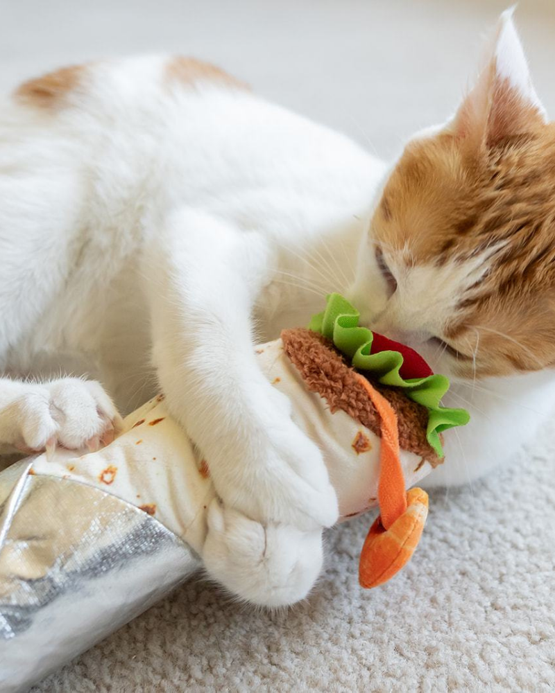 Shrimp Purrito Catnip Cat Toy Toys P.L.A.Y.   