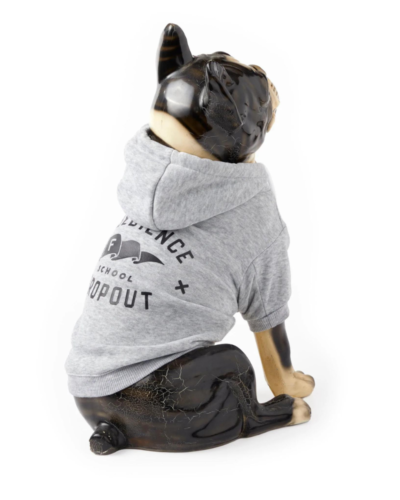 Obedience School Dropout Dog Hoodie (FINAL SALE) Wear BRASS MONKEY   