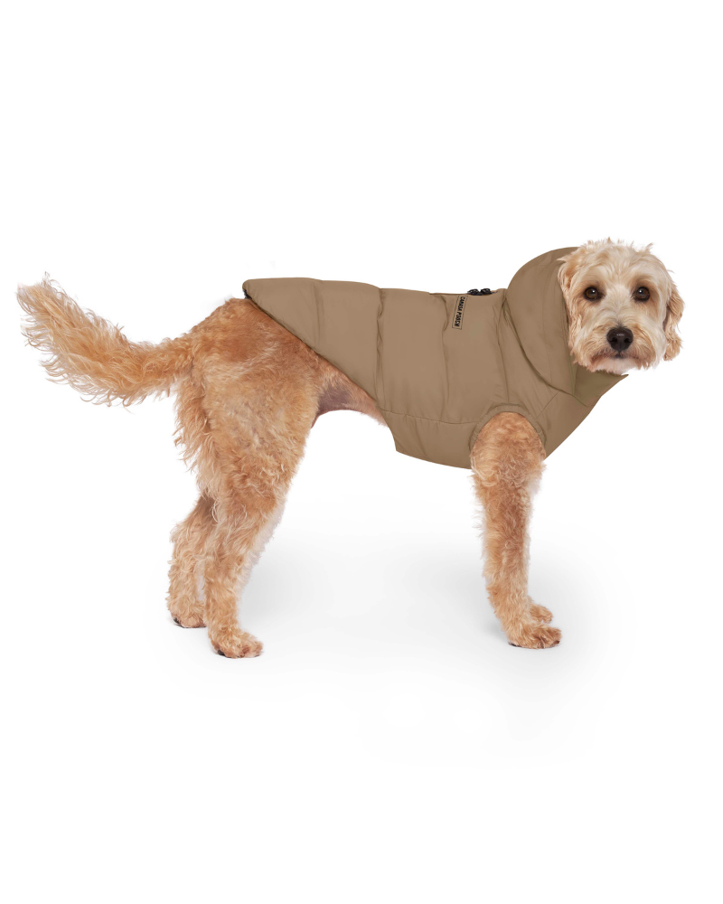 Insulated Waterproof Dog Puffer in Tan Wear CANADA POOCH   