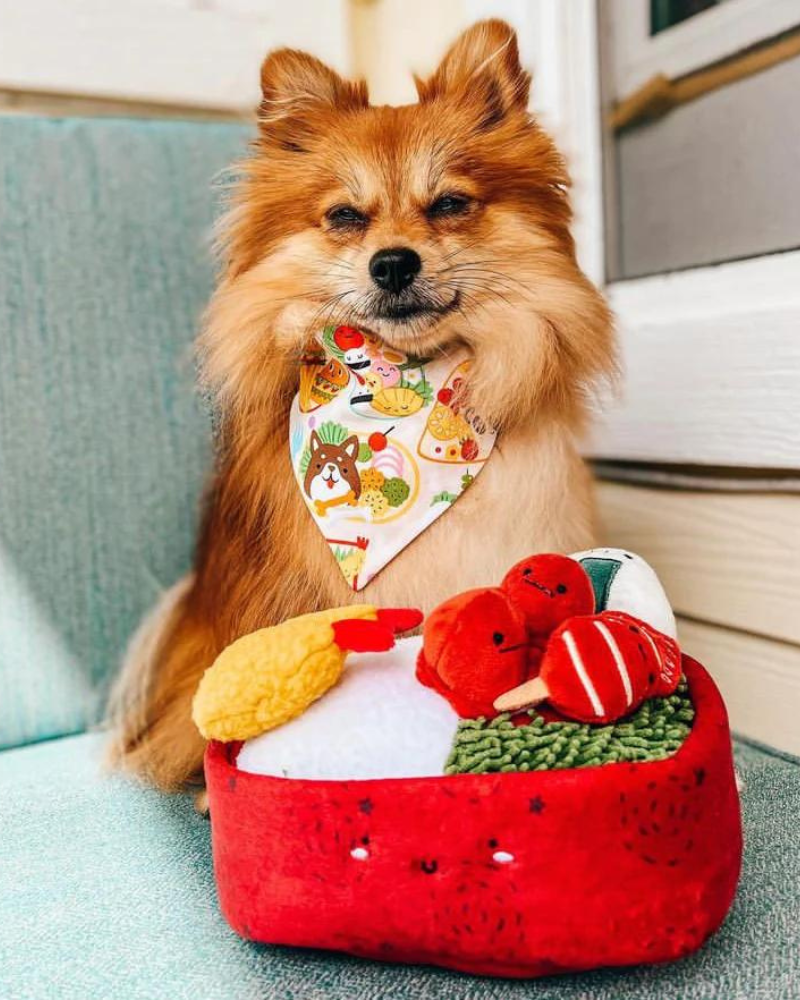 Benny Bento Box Squeaky Seven-Piece Plush Dog Toy <br> (Made in the USA) Play WOOF & CO   