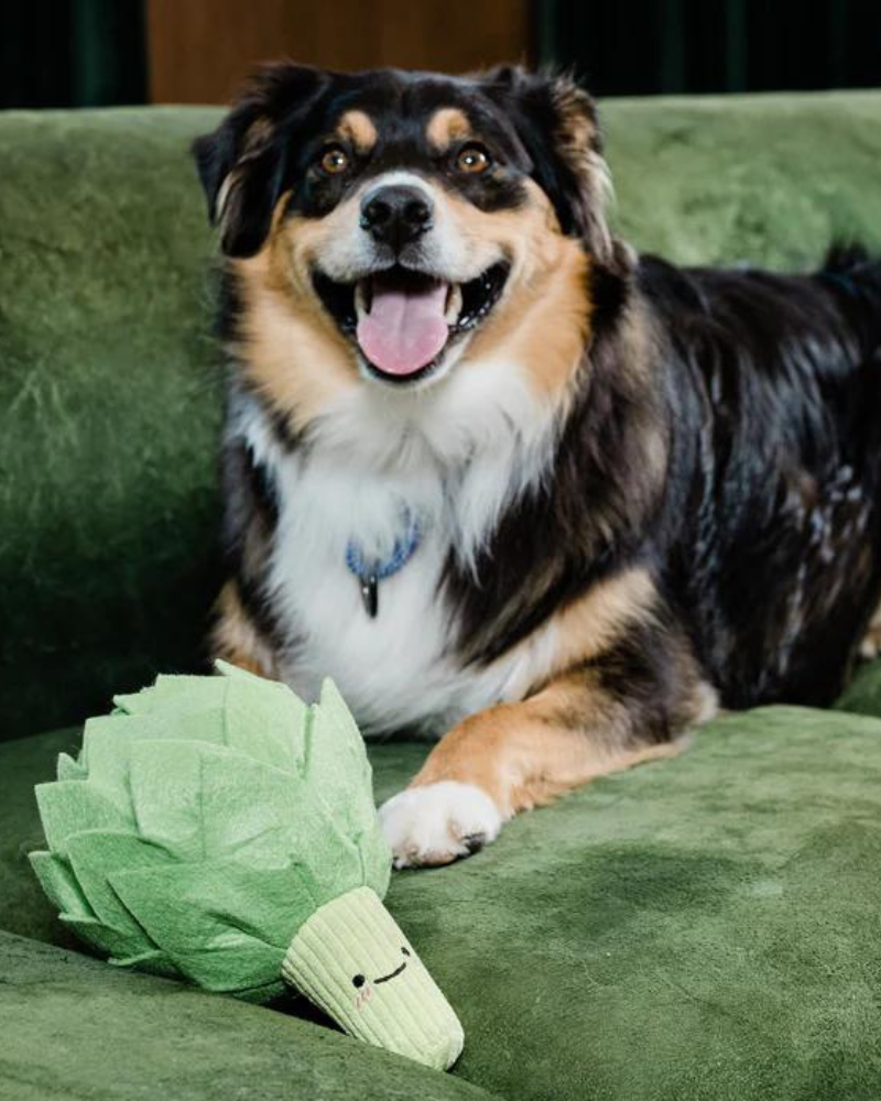 INJOYA | Snail Dog Toy Interactive & Snuffle | DOG & CO.