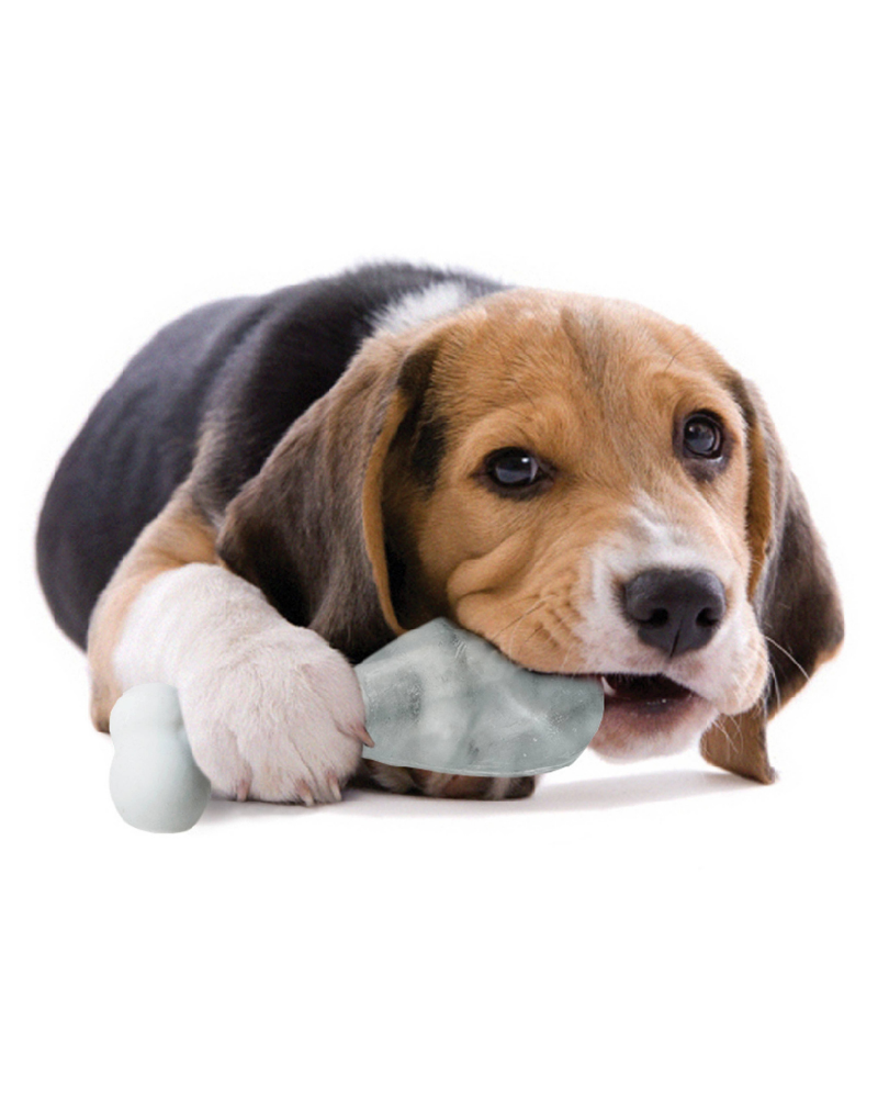 Pupsicle Silicone Frozen Treat Mold Eat SUCK UK   