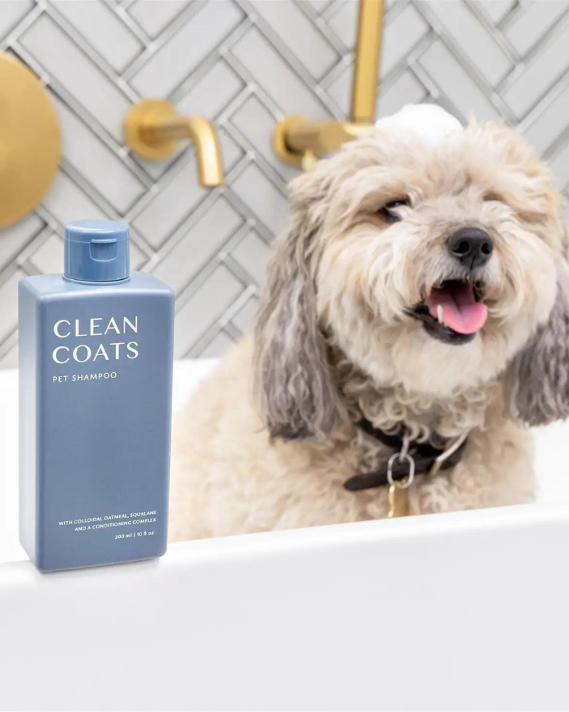 Sensitive Dog Shampoo (Fragrance Free) (FINAL SALE) HOME CLEAN COATS   