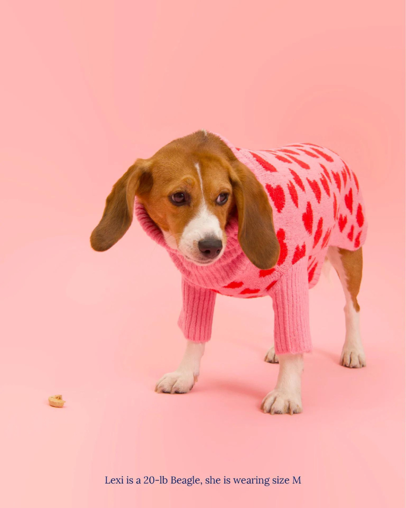 "The Love" Dog Sweater (FINAL SALE) Wear LITTLE BEAST   