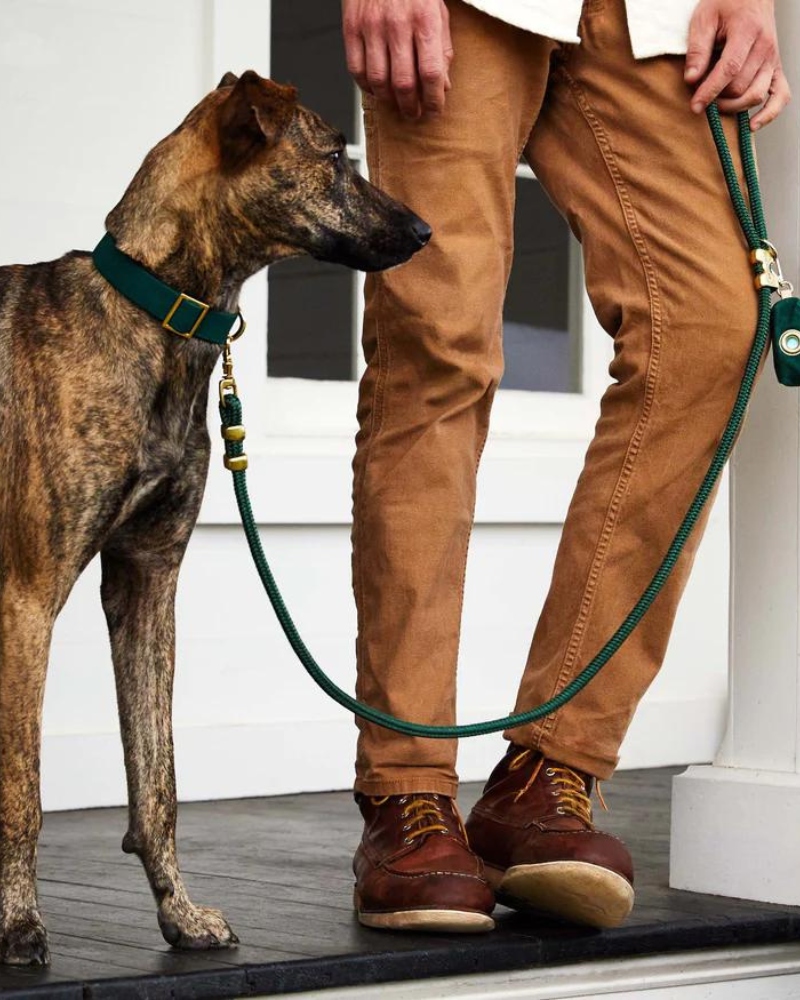 Evergreen Marine Rope Dog Leash (Made in the USA) WALK THE FOGGY DOG   