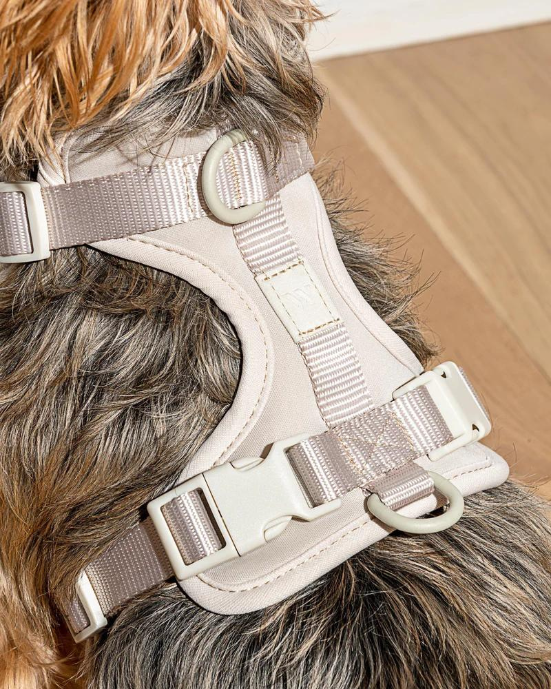Cushioned Dog Harness in Grey (FINAL SALE) WALK WILD ONE   