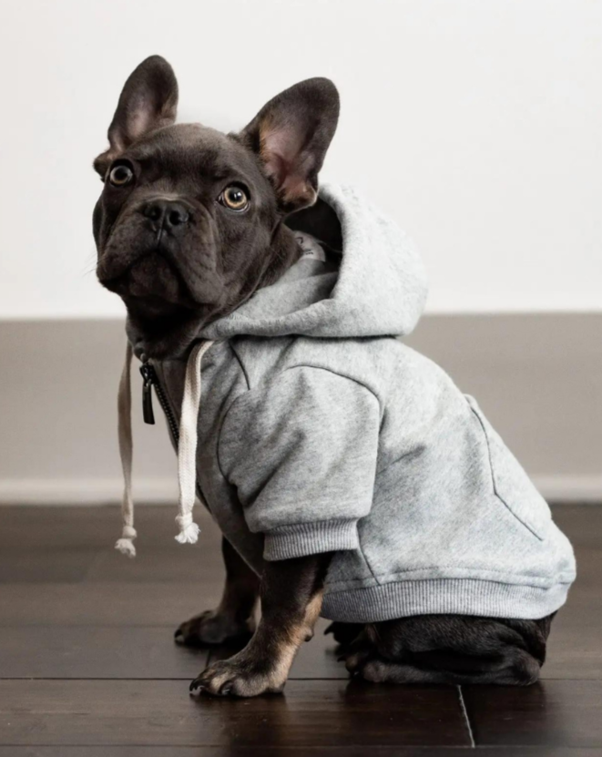 Light Grey Zip-Up Dog Hoodie << FINAL SALE >> Wear ELLIE DOG WEAR   