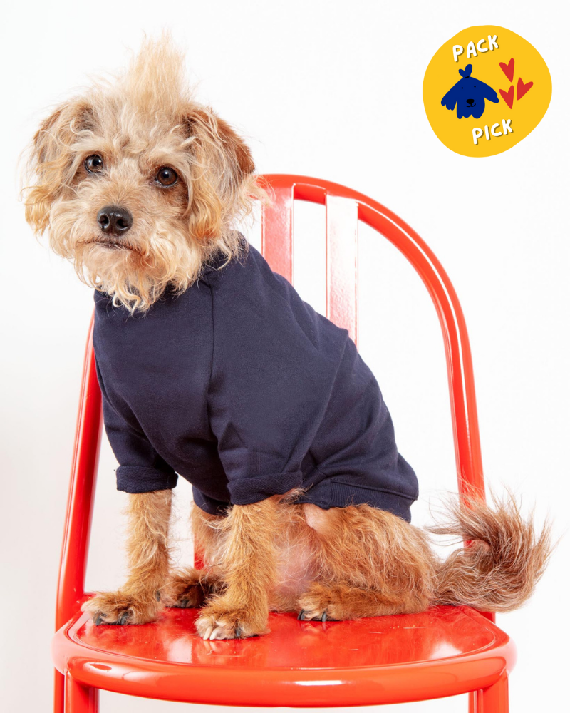Cut-Sleeve Crewneck Pullover in New Navy<br>(Made in NYC!) Wear DOG & CO. COLLECTION   