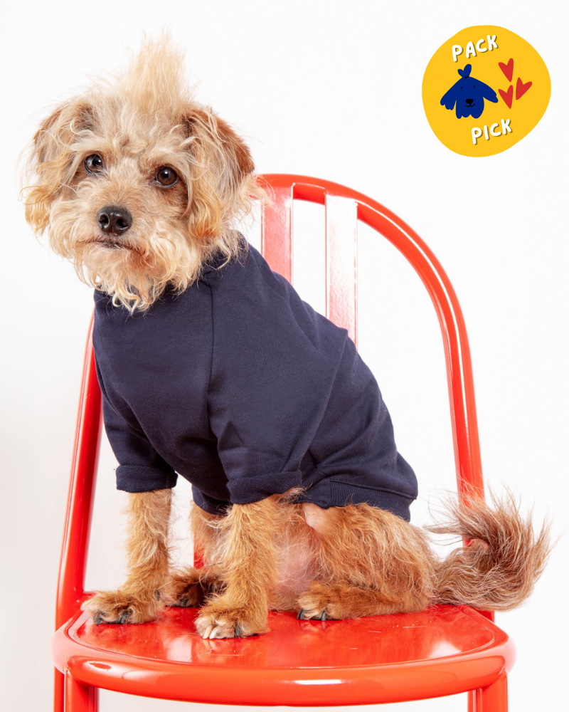 Cut-Sleeve Crewneck Pullover in New Navy<br>(Made in NYC!) (FINAL SALE) Wear DOG & CO. COLLECTION   