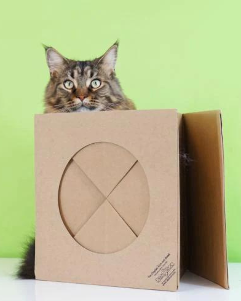 Hide and Sneak Cat Toy Tunnel (Made in the USA) Play DEZI & ROO   