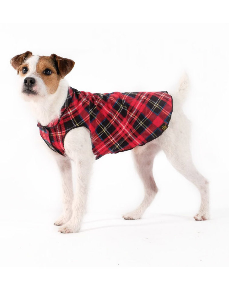 Stretch Fleece in Red Tartan Plaid (Made in the USA) Wear GOLD PAW   