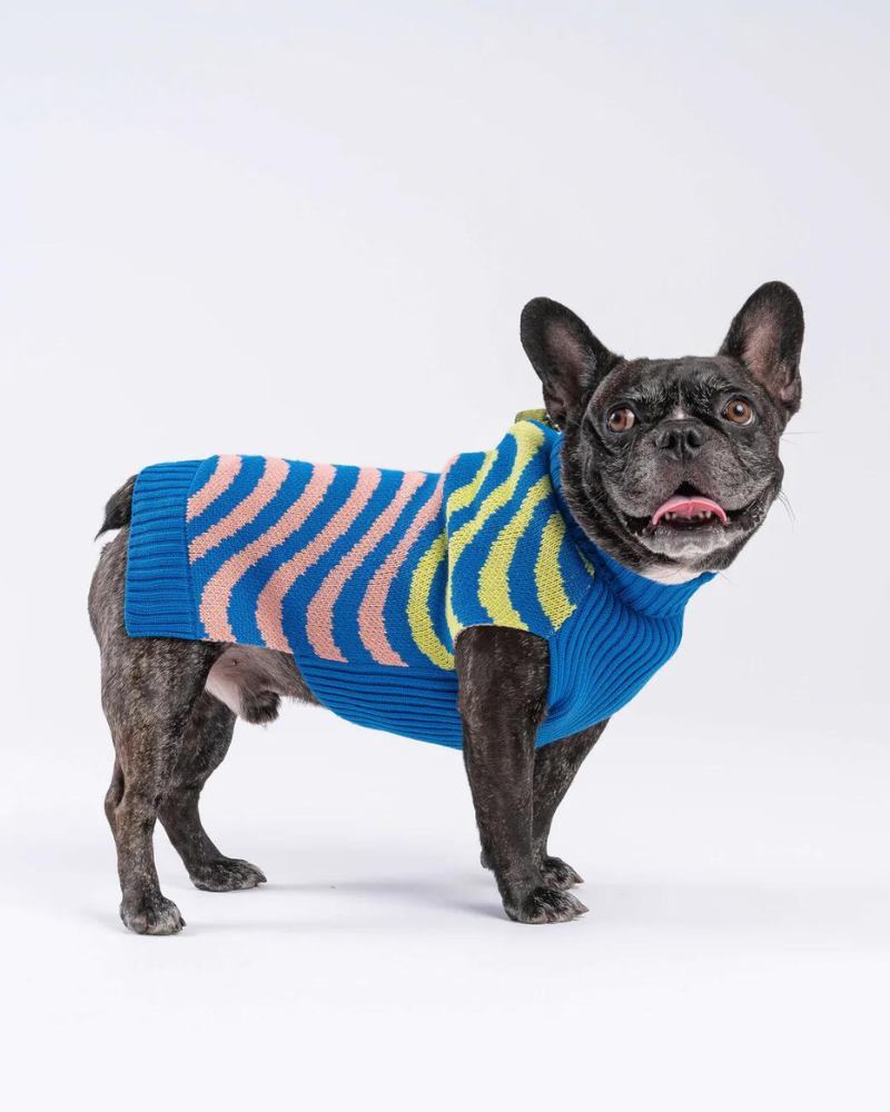 Sound Wave Dog Sweater in Lime & Cobalt (FINAL SALE) Wear VERLOOP   