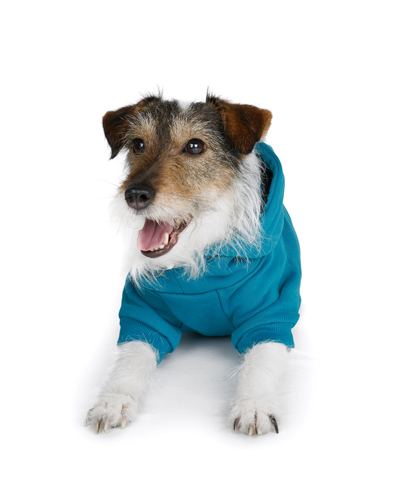 Dog Hoodie in Teal (CLEARANCE) Wear CHARLIE'S BACKYARD   