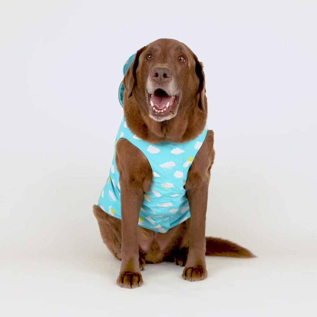 Clouds and Rainbow Torrential Tracker Raincoat (FINAL SALE) Wear CANADA POOCH