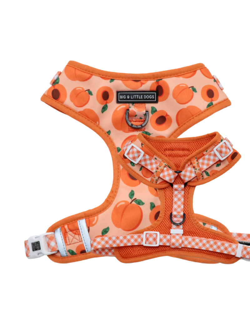 Adjustable Dog Harness in Just Peachy << FINAL SALE >> WALK BIG AND LITTLE DOGS   