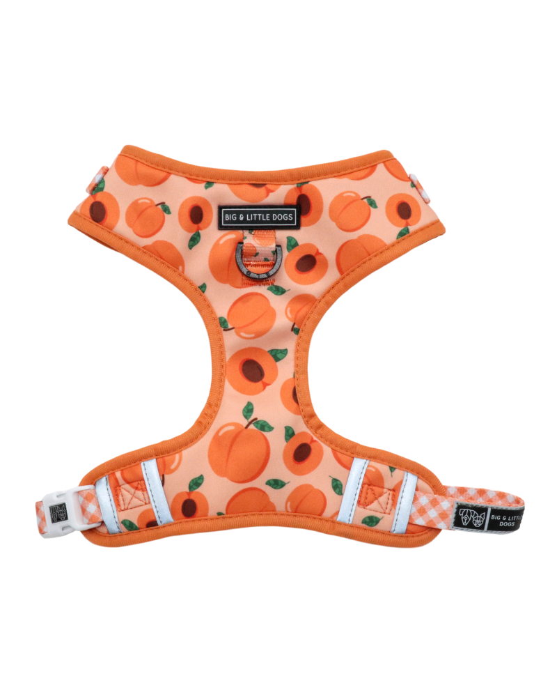Adjustable Dog Harness in Just Peachy << FINAL SALE >> WALK BIG AND LITTLE DOGS   