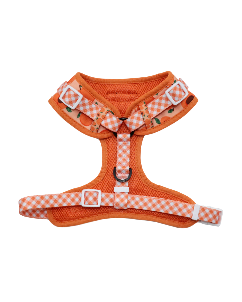 Adjustable Dog Harness in Just Peachy << FINAL SALE >> WALK BIG AND LITTLE DOGS   