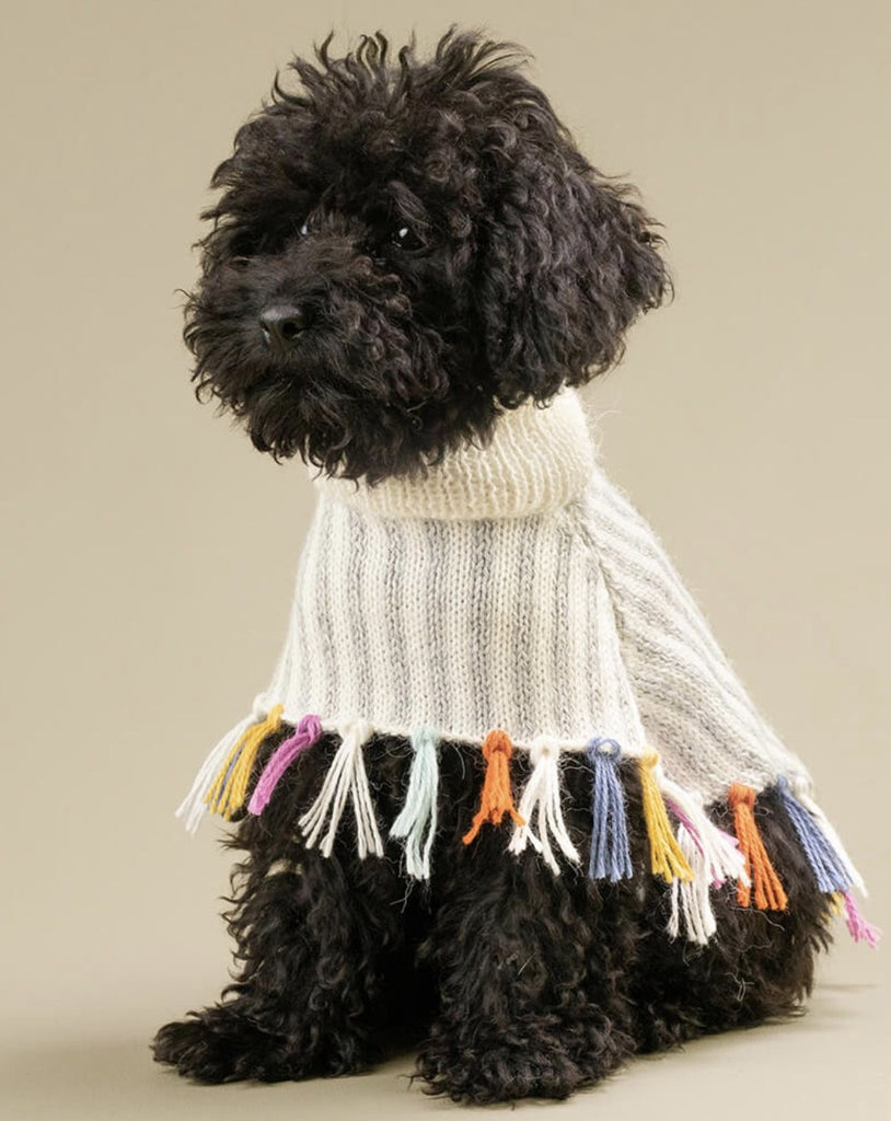 Rainbow Knit Alpaca Dog Poncho << FINAL SALE >> Wear ALQO WASI   