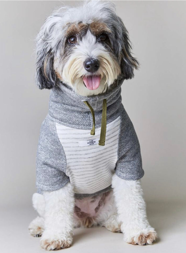 Oxford Stripe Dog Funnel Neck Pullover<br>((CLEARANCE) Wear THE STRIPED DOG   