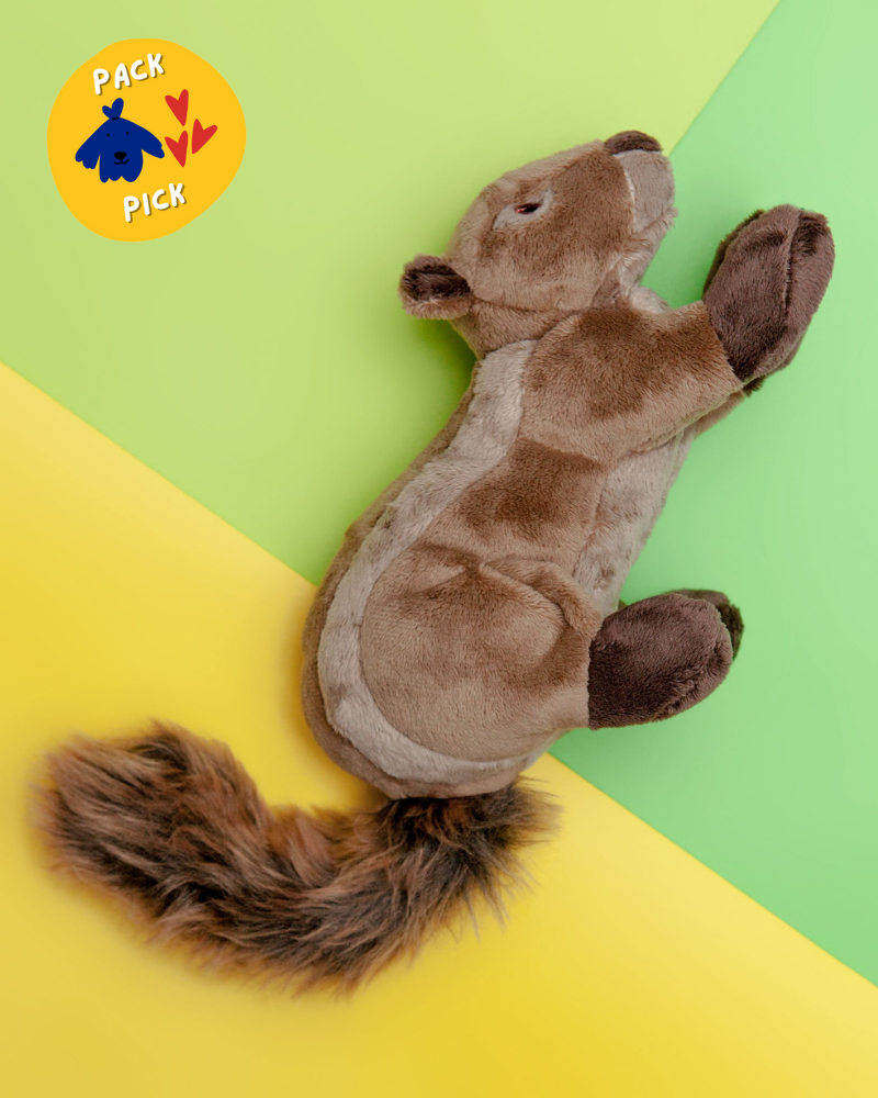 Peanut the Squirrel Squeaky Dog Plush Toy Play FLUFF & TUFF   