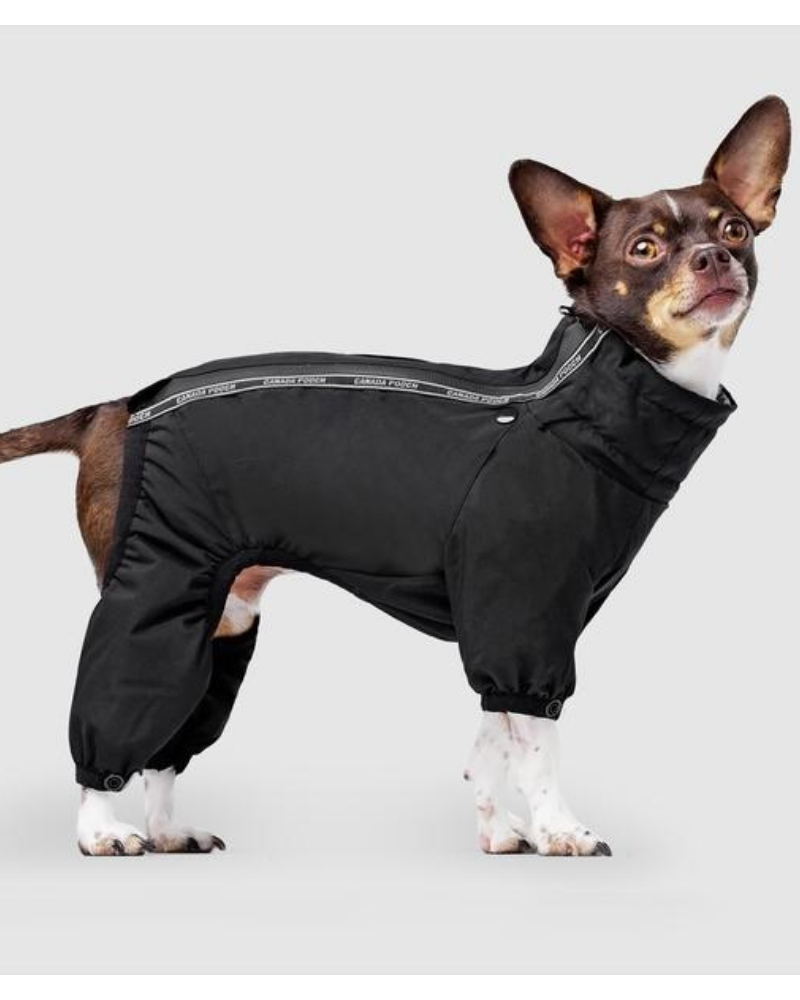 Winter Dog Snowsuit In Black (FINAL SALE) Wear CANADA POOCH   