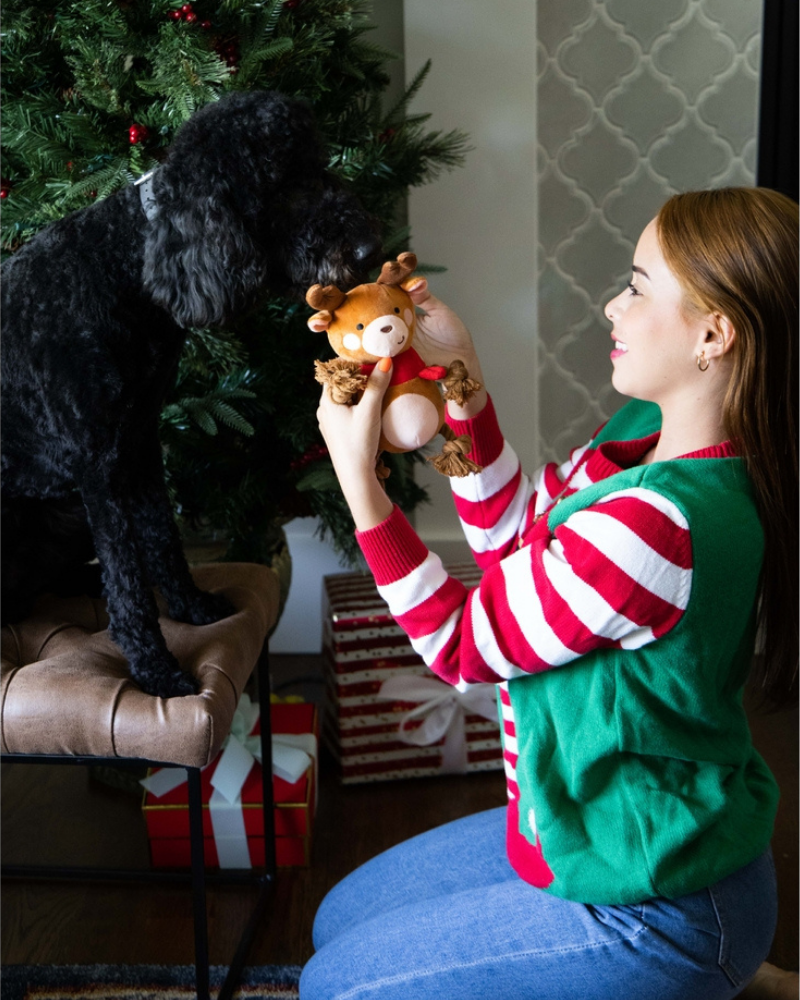 Happy Holideer Plush & Rope Squeaky Dog Toy Play PEARHEAD   