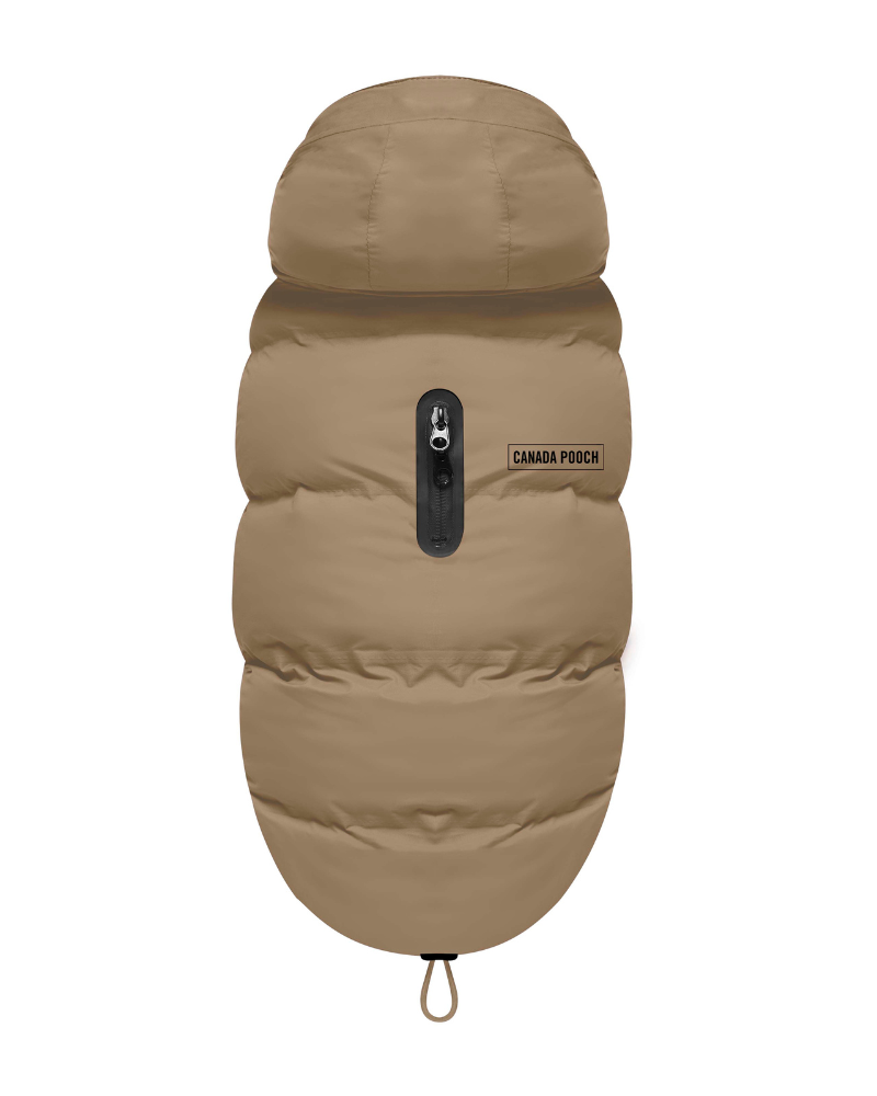 Insulated Waterproof Dog Puffer in Tan Wear CANADA POOCH 10  