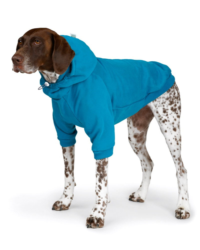 Dog Hoodie in Teal (CLEARANCE) Wear CHARLIE'S BACKYARD   