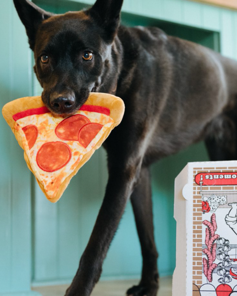 Puppy-Roni Pizza Slice Crinkle & Squeaky Dog Toy Play P.L.A.Y.