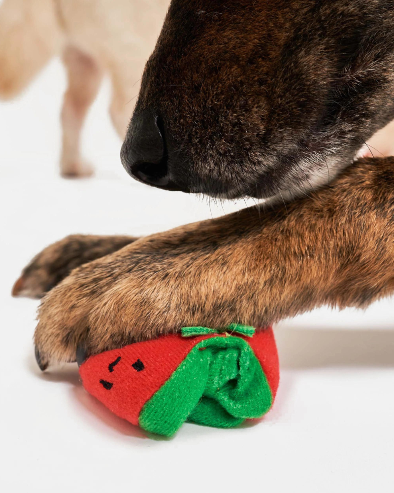 Cherry Tomato Nose Work & Tug Dog Toy Play THE FURRYFOLKS   