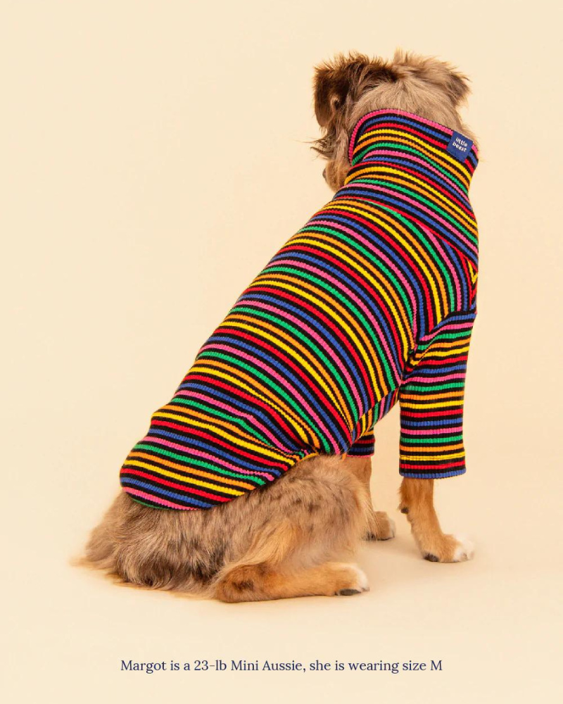 Fantastic Ribbed Dog Pullover (FINAL SALE) Wear LITTLE BEAST   