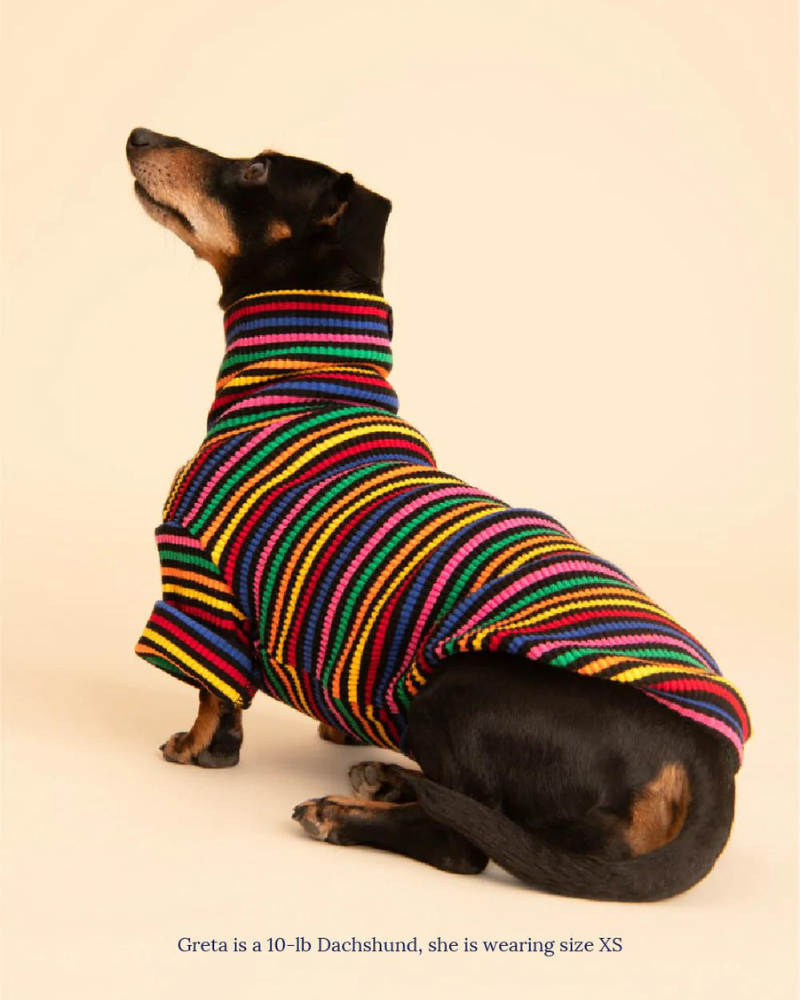 Fantastic Ribbed Dog Pullover (FINAL SALE) Wear LITTLE BEAST   