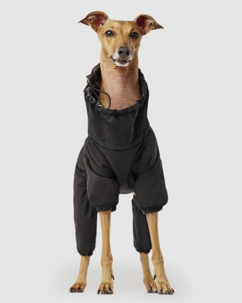 Winter Dog Snowsuit In Black (FINAL SALE) Wear CANADA POOCH   