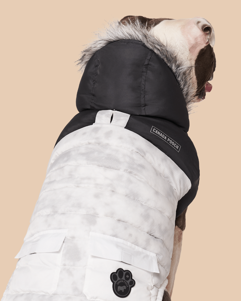 Eco True North Dog Parka in Marble << FINAL SALE >> Wear CANADA POOCH   