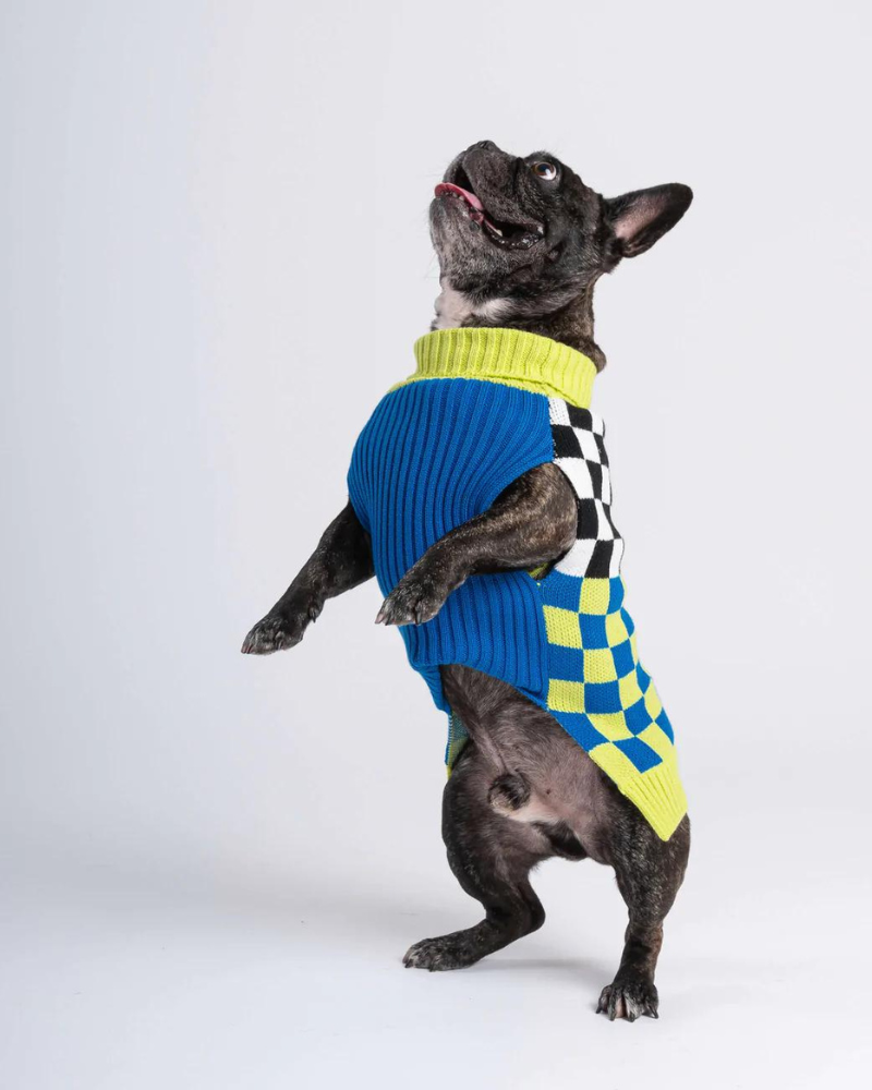 Checkerboard Dog Sweater in Lime & Cobalt (FINAL SALE) Wear VERLOOP   