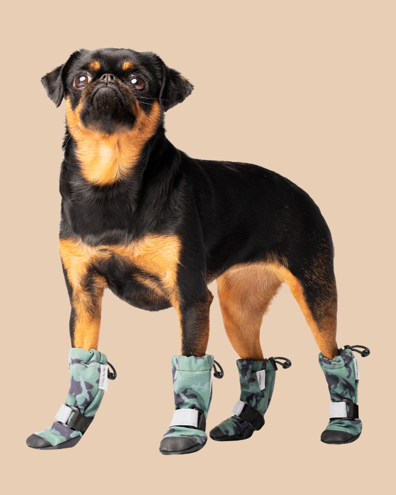 Soft Shield Dogs Boots in Camo Wear CANADA POOCH   