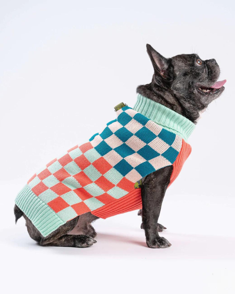 Checkerboard Dog Sweater in Melon & Jade (FINAL SALE) Wear VERLOOP   