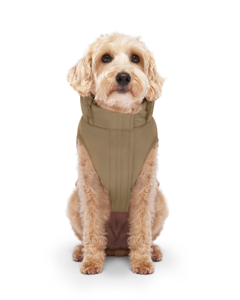 Insulated Waterproof Dog Puffer in Tan Wear CANADA POOCH   